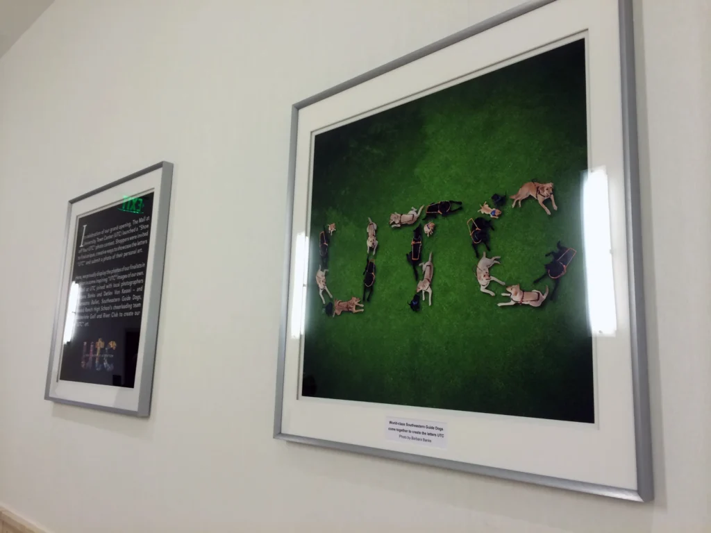 Two framed pictures on a wall; one features dogs lying on grass spelling “UTC,” and the other appears to display text and small images.
