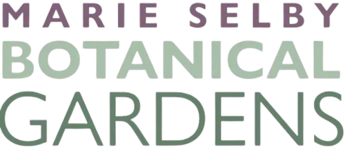 Marie Selby Botanical Gardens logo, purple, sage, and green stacked wordmark.